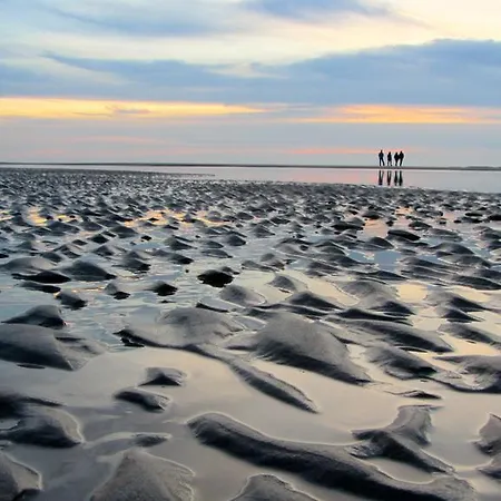 Bij Het Strand De Koog (Texel)